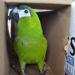 Meet your Posher, Barbara